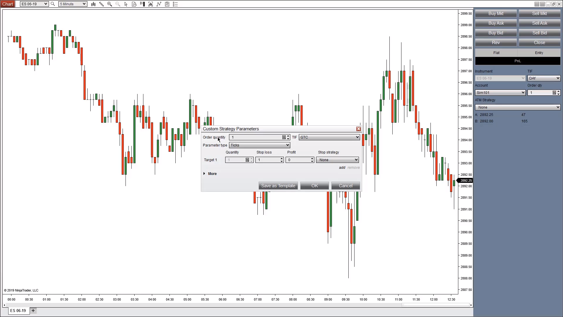 Our-Price-Flow-Ninjatrader-ATM-Course--Image 1