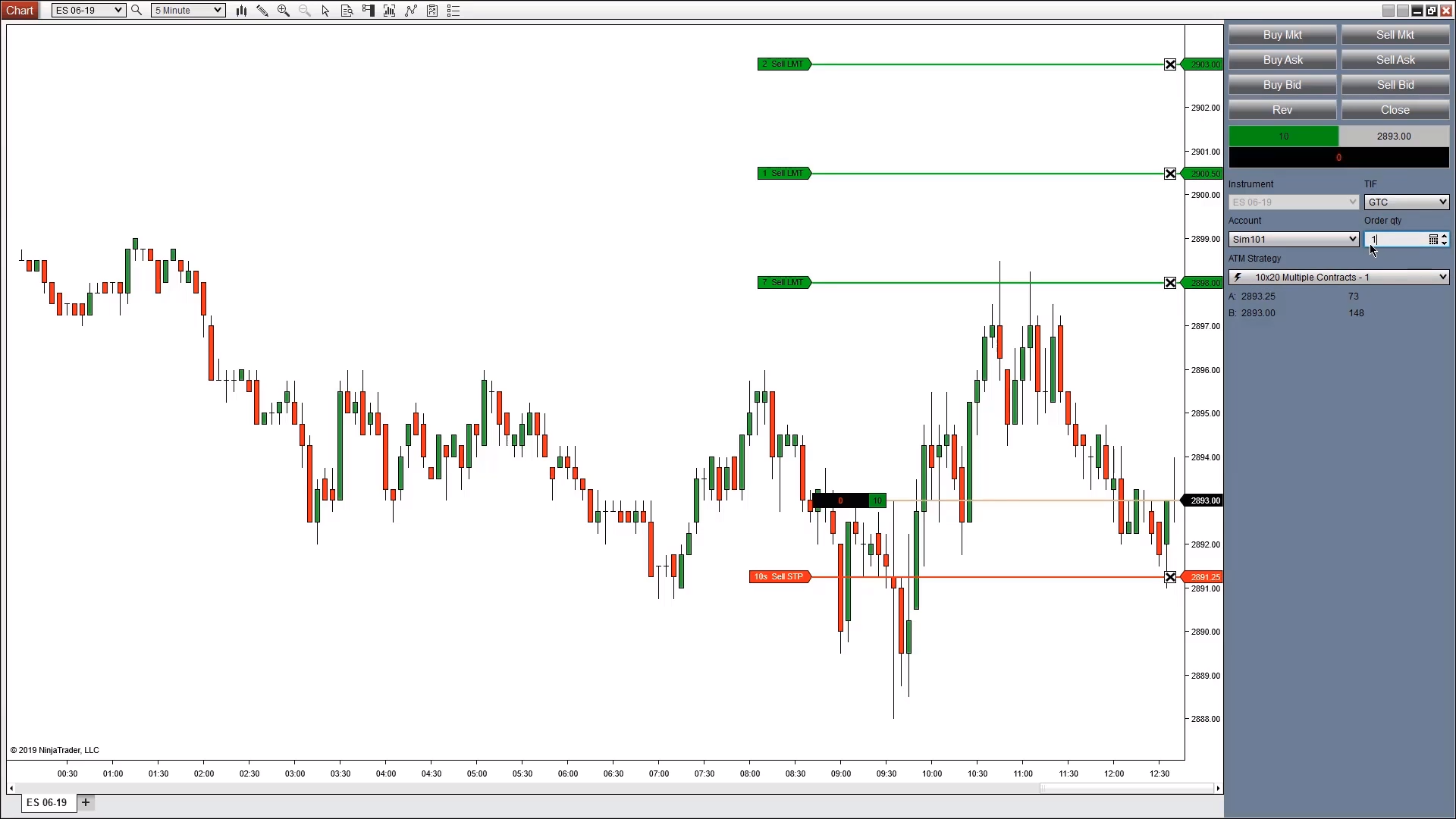 Our-Price-Flow-Ninjatrader-ATM-Course--Image 2