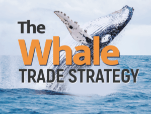 The Whale Trade Strategy thumbnail
